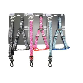 Small Pet Leash & Harness Set - Assorted Colours