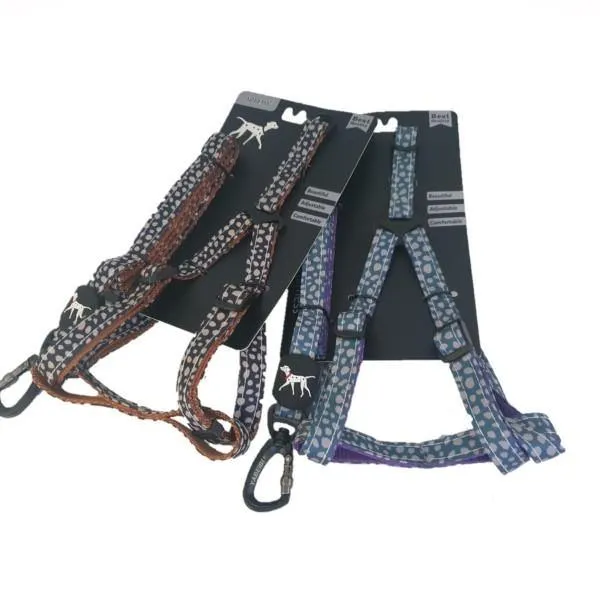 Small Pet Leash & Harness Set - Assorted Colours