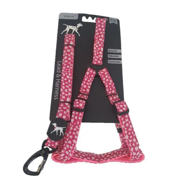 Small Pet Leash & Harness Set - Assorted Colours