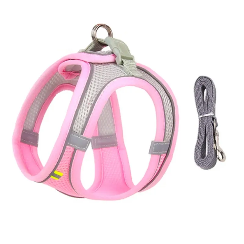 Tag Mesh Harness/Leash Set for Small Dogs or Cats