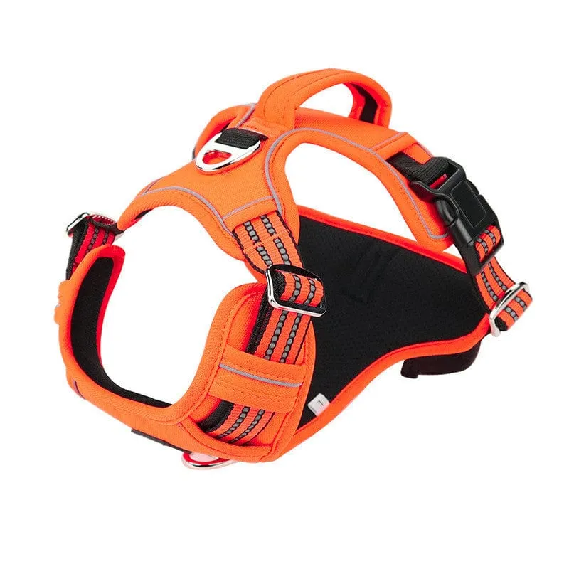 Vertical Handle Reflective Harness