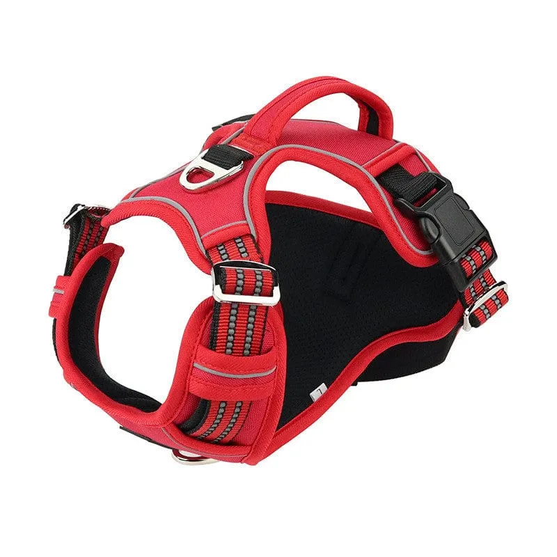 Vertical Handle Reflective Harness