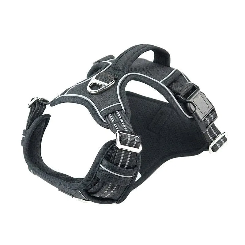 Vertical Handle Reflective Harness