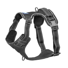 Whoof Whoof Double Padded Harness for Dogs (Black)